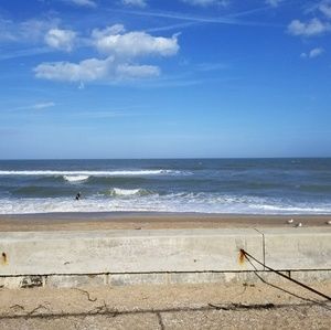 Meet your Posher, Bobbie